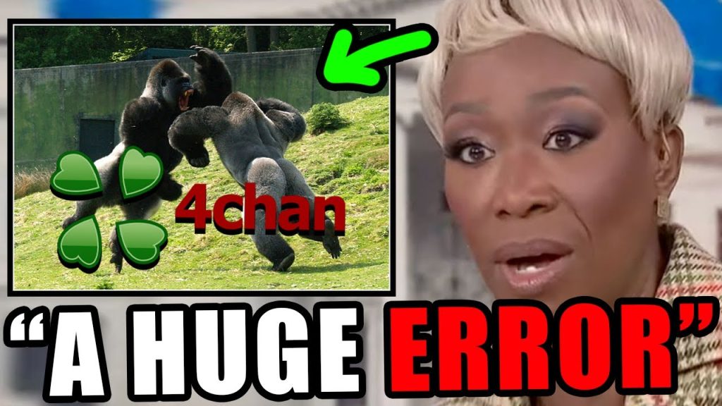 MSNBC Falls for and Pushes Obvious 4CHAN MEME