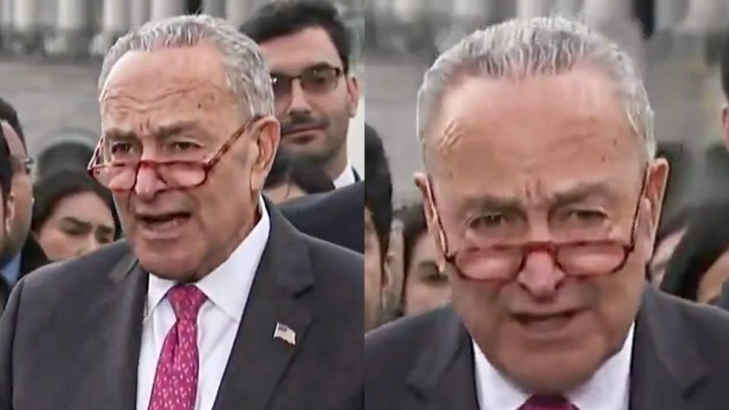 Chuck Schumer Delivers Hilarious Statement About Population Growth