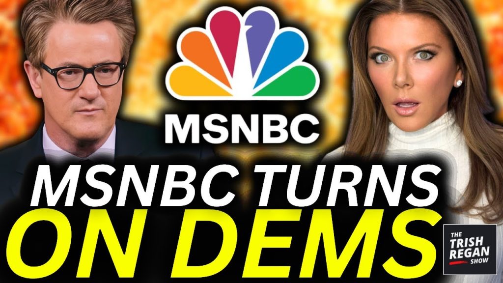 WATCH: MSNBC Turns on Dems And CALLS THEM OUT on Live TV!