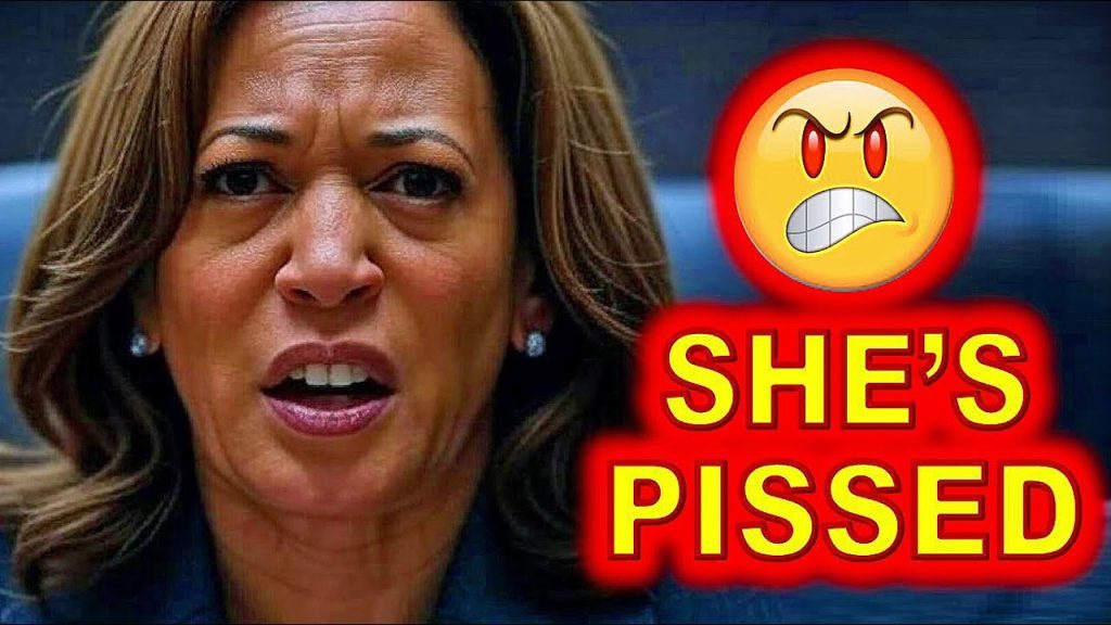 Kamala Harris Publicly HUMILIATED by LONG-TIME Ally over Her SMUGNESS…..