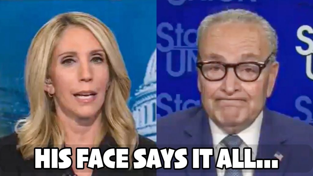Chuck Schumer Started PANICING After A Simple Question From Dana Bash