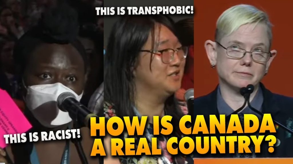 Canada’s Democratic Party event turns into INFIGHTING DISASTER over “EQUITY CARDS”