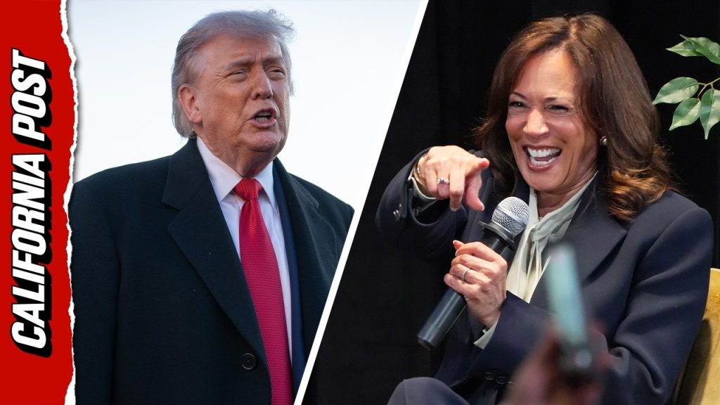 Kamala Harris Goes on Expletive, RAMBLING Rant About President Trump